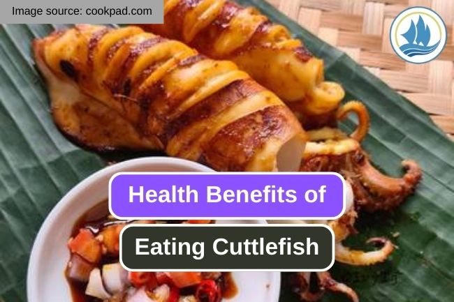 8 Reasons Why Eating Cuttlefish Is Good for Your Health